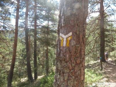 Tejos Rascafría-Valhondillo o Barondillo;cañon de la horadada cascada somosierra chorro navafria e